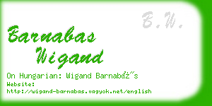 barnabas wigand business card